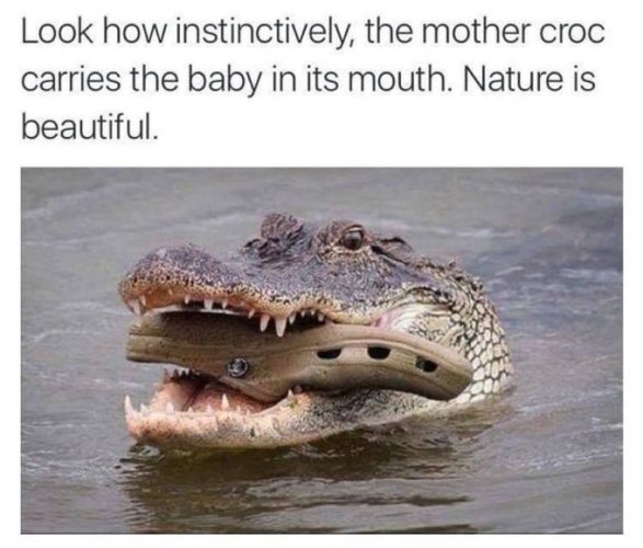HGmsw4zaYAAaIef.jpeg