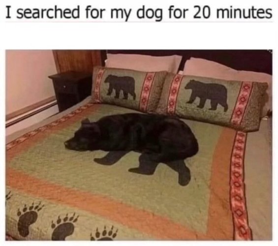 HGmqwdlbAAAsQI3.jpeg