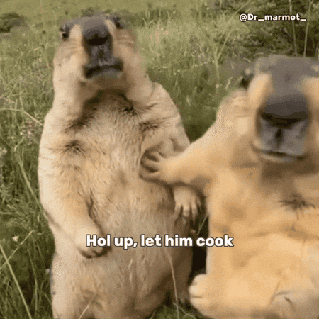 1777480944278.gif