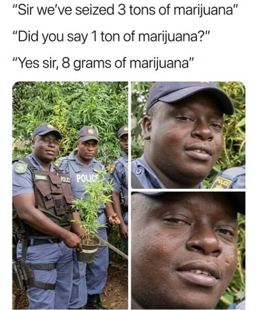 1777491990316.png