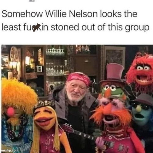 1777558445382.png