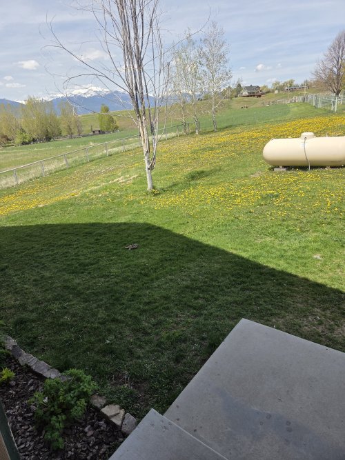 20260502_134706.jpg