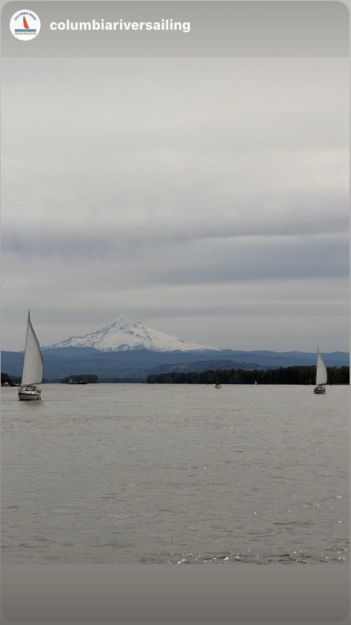 IMG_0015.jpeg