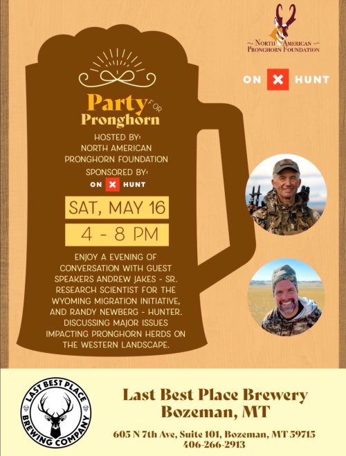 684156762_18079623071395719_4661316964818237981_n.jpg