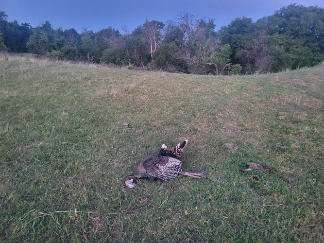 20260504_062933.jpg