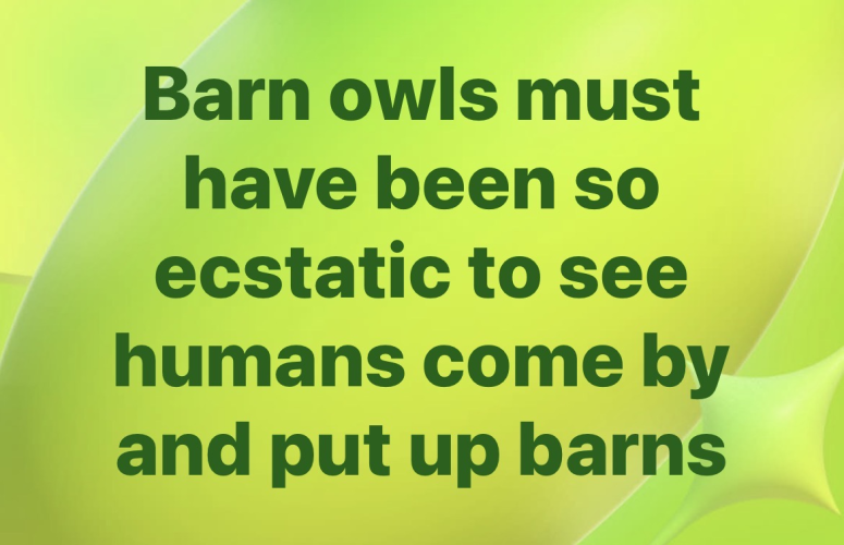 1778448800072.png