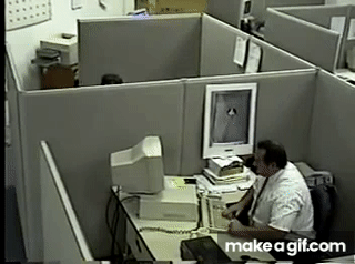 1778803706266.gif 1778803706266.gif