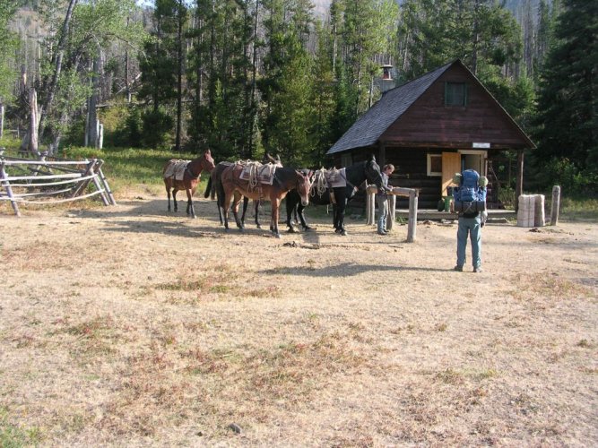 Gooseberry Park pack string.JPG