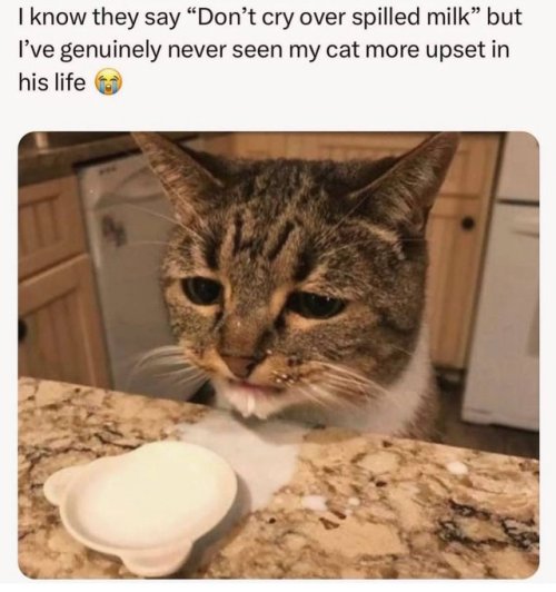 HIS4CrUakAAA2ra.jpeg