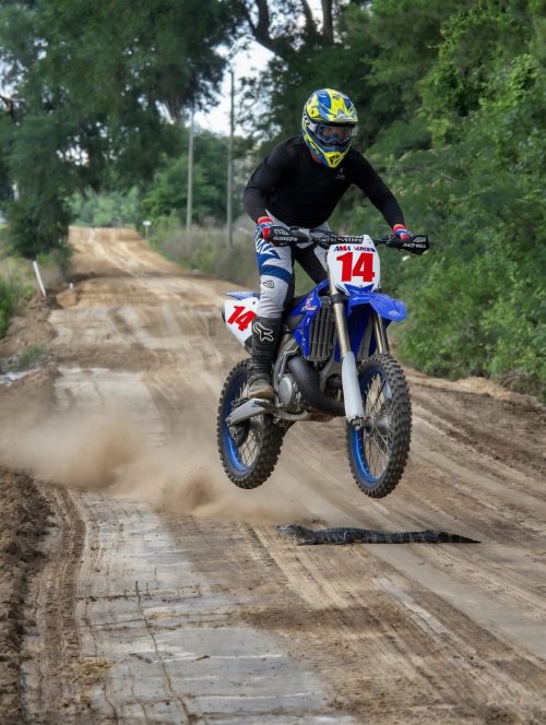 YZ Jumps Gator.jpg
