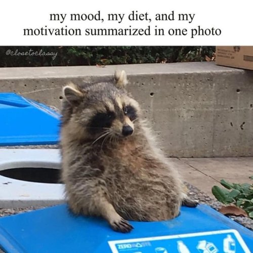 HIplkzObkAAlKm6.jpeg