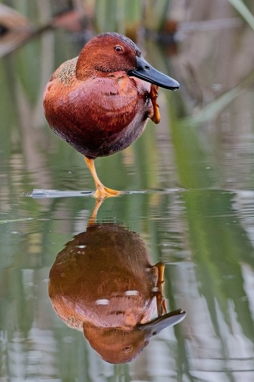 walk_on_water_resized.jpg
