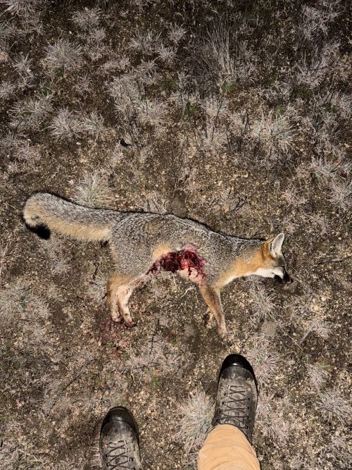 IMG_5637.jpeg