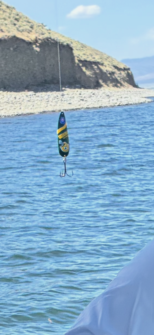 IMG_3647.png