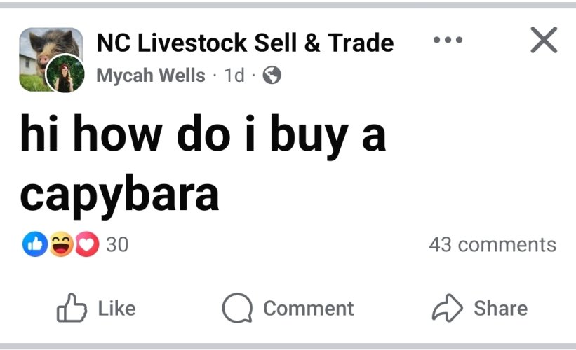 Screenshot_20260526_164839_Facebook.jpg