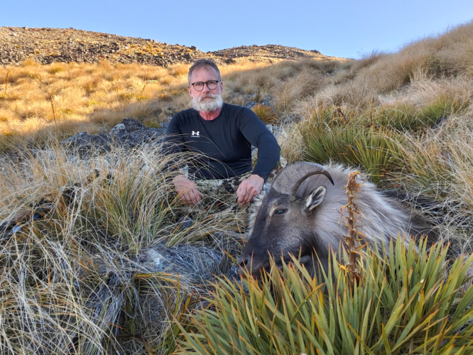 Tahr for post.png