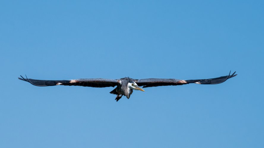 DSC_9362.jpg