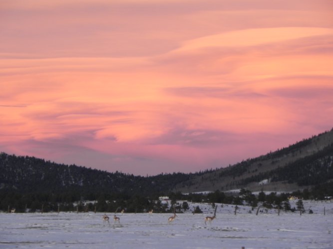 antelope sunset.JPG