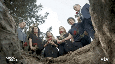 1780506551222.gif 1780506551222.gif