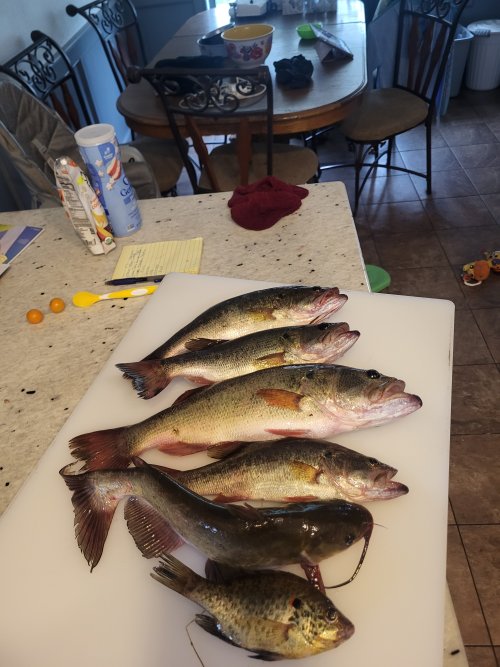 20260527_160041.jpg