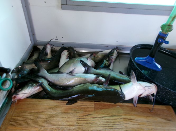 1780751710517.jpeg