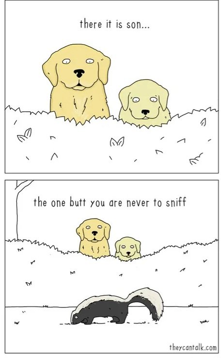 1000011409.jpg