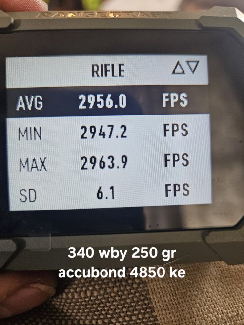 1000013079.jpg