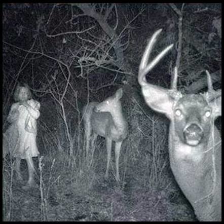 trail cam scary.jpg