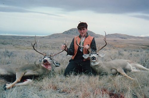 2muledeer.JPG