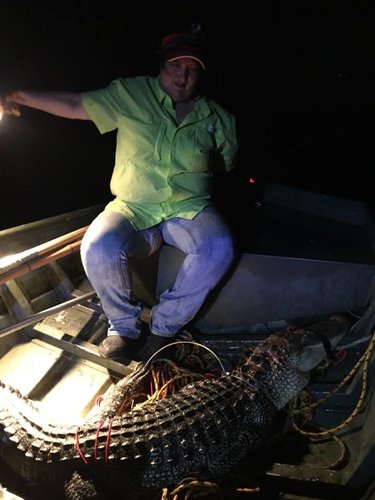 image.jpeg image.jpeg