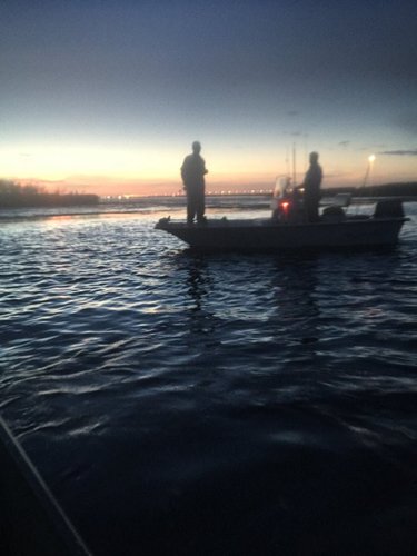 image.jpeg image.jpeg