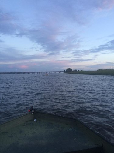 image.jpeg image.jpeg