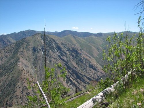 168.JPG 168.JPG