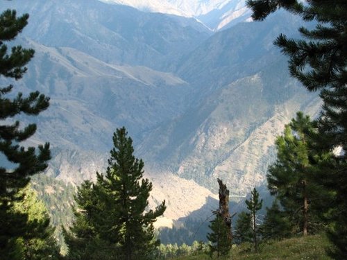 IMG_2963.JPG IMG_2963.JPG