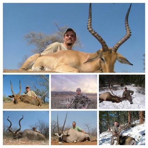 200X Nosler.jpg 200X Nosler.jpg