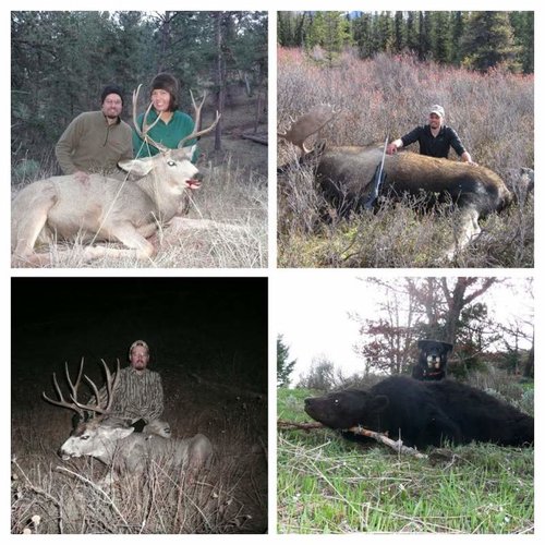 2009 Nosler.jpg 2009 Nosler.jpg