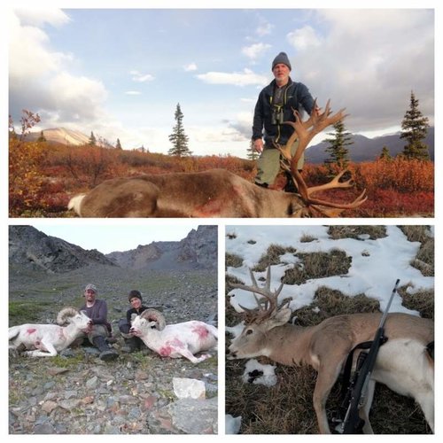 2012 Nosler.jpg 2012 Nosler.jpg
