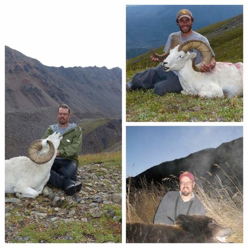 2013 nosler.jpg 2013 nosler.jpg