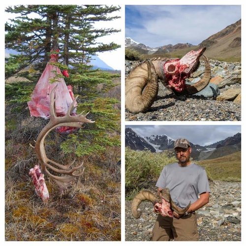 2014 nosler.jpg 2014 nosler.jpg