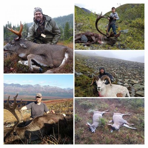 2015 Nosler.jpg 2015 Nosler.jpg