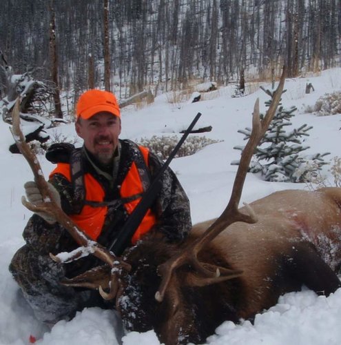 2015 CO Elk.jpg