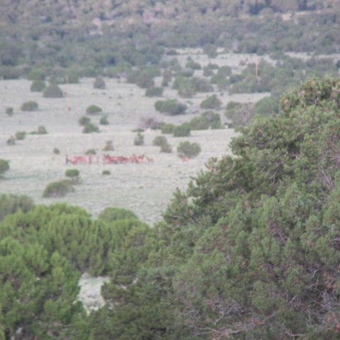 Aug 16 033.JPG