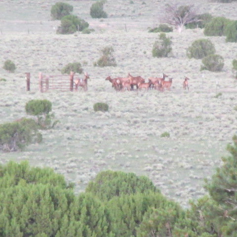 Aug 16 034.JPG