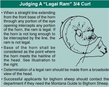 legal ram.JPG