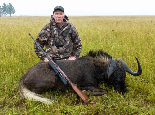 Randy'sBlackWildebeest.jpg Randy'sBlackWildebeest.jpg