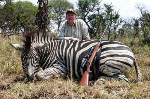 Randy'sZebra.jpg Randy'sZebra.jpg
