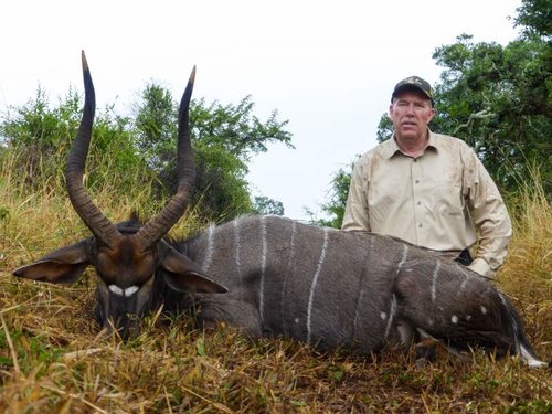 Randy'sNyala.jpg Randy'sNyala.jpg