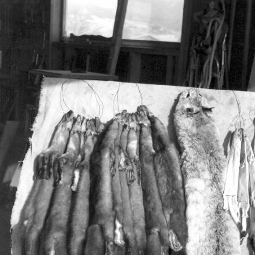 Furs.jpg Furs.jpg