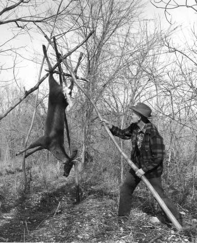 hanging deer.jpg hanging deer.jpg