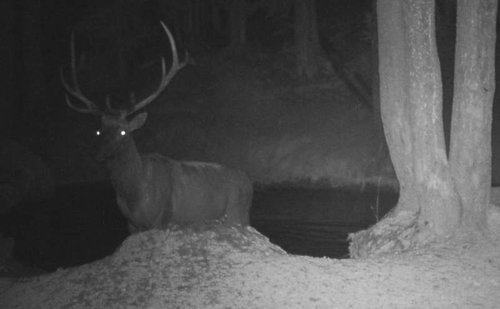 2 Cams Below (798).jpg 2 Cams Below (798).jpg